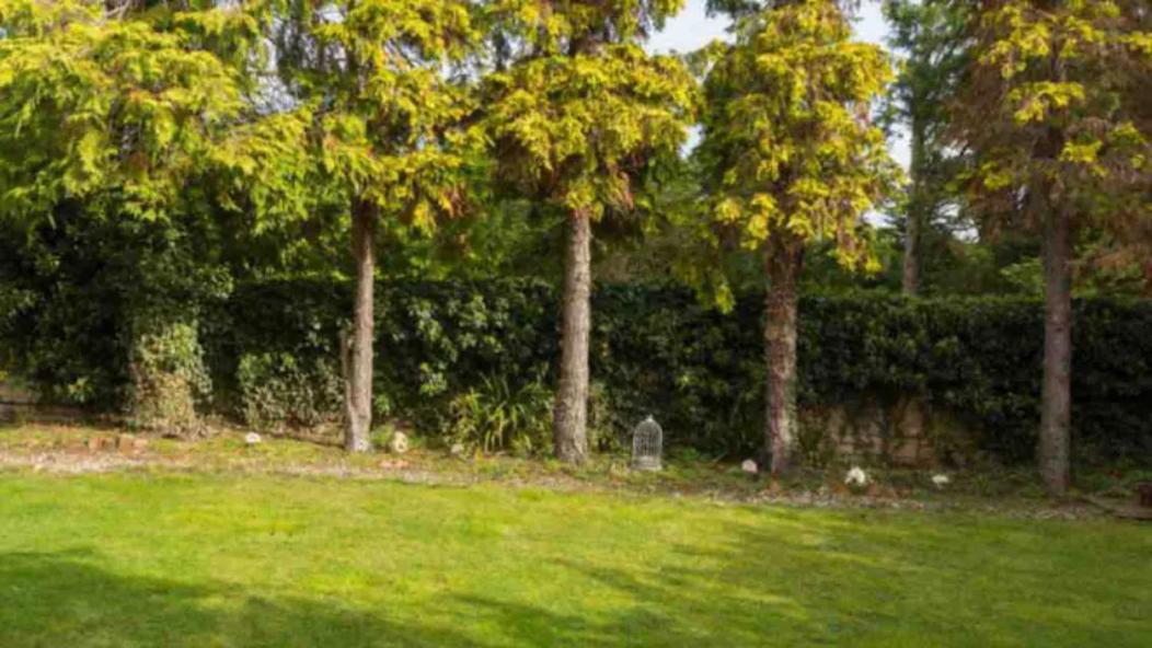 Piglet Cottage Pebworth Екстериор снимка