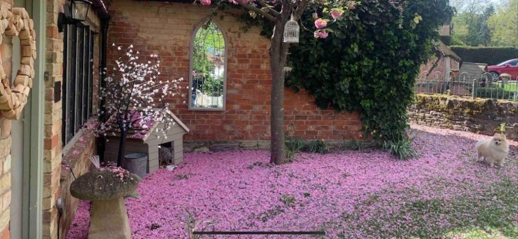 Piglet Cottage Pebworth Екстериор снимка